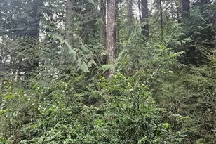 2277 Big Timber Pl SE, Port Orchard, WA 98367 - Photo 31