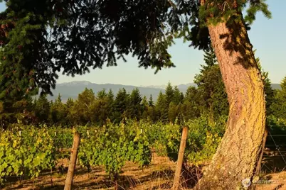 1673 Woodland Drive, Port Townsend, WA 98368 - Photo 5