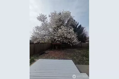 430 Spring Lane, Sedro Woolley, WA 98284 - Photo 15