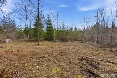 0 E McLane Cove Drive, Grapeview, WA 98546 - Photo 7