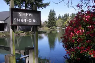 13896 NE 66th St, Redmond, WA 98052 - Photo 35