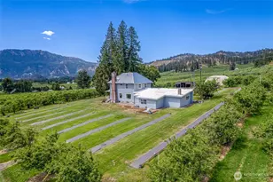 9753 Nibbelink Rd, Peshastin, WA 98847 - Photo 31