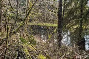 23904 E Lake Kayak Dr, Monroe, WA 98272 - Photo 23