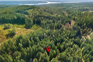 300 N Mount Jupiter Dr, Hoodsport, WA 98548 - Photo 33