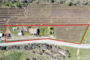 1673 Hwy 7, Oroville, WA 98844 - Photo 3