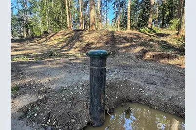 396 Durr Road, Camano Island, WA 98282 - Photo 9