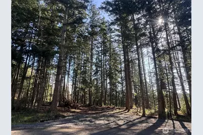 396 Durr Road, Camano Island, WA 98282 - Photo 3