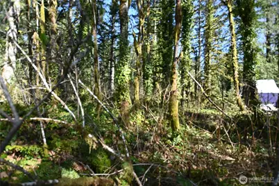 0 Old Cascade Hwy, Skykomish, WA 98288 - Photo 5