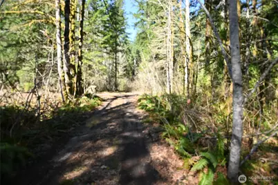 0 Old Cascade Hwy, Skykomish, WA 98288 - Photo 15