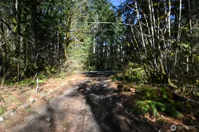 0 Old Cascade Hwy, Skykomish, WA 98288 - Photo 9