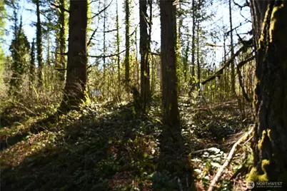 0 Old Cascade Hwy, Skykomish, WA 98288 - Photo 1