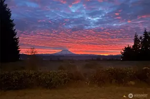 30608 40th Ave S, Roy, WA 98580 - Photo 37