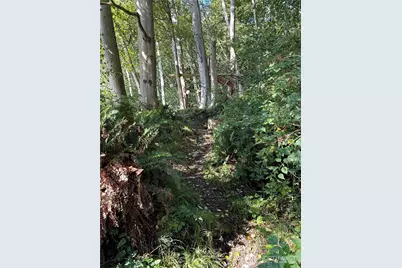 111 Seven Sisters Beach, Port Ludlow, WA 98358 - Photo 7