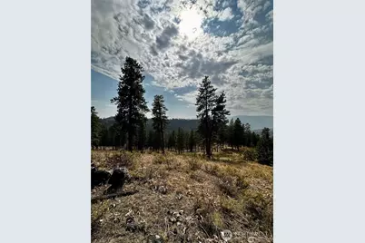 0 Nna Cooper Mountain Road, Manson, WA 98831 - Photo 17