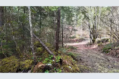 64084 Cascade River Rd #D1-204, Marblemount, WA 98267 - Photo 15