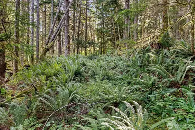 1 Skate Creek Road N, Morton, WA 98356 - Photo 29