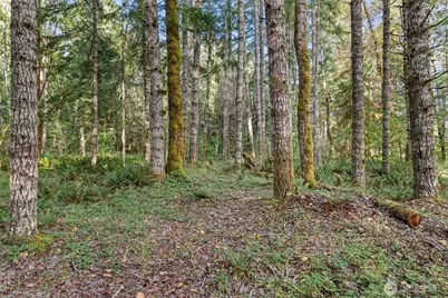 1 Skate Creek Road N, Morton, WA 98356 - Photo 25