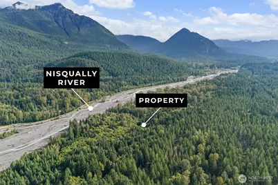 1 Skate Creek Road N, Morton, WA 98356 - Photo 7