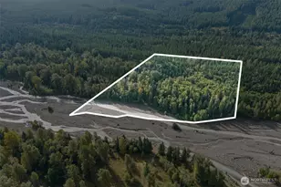 1 Skate Creek Road N, Morton, WA 98356 - Photo 1