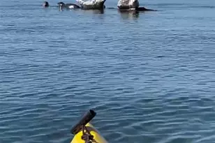 19810 Soundview Dr NW, Stanwood, WA 98292 - Photo 35