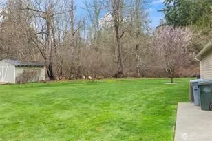 21701 31st Ave E, Spanaway, WA 98387 - Photo 37