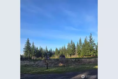 9999 Sawyer Way, Forks, WA 98331 - Photo 7