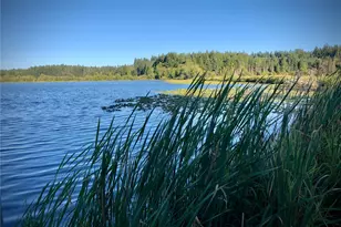 2813 Bona Vista Dr SW, Olympia, WA 98512 - Photo 29