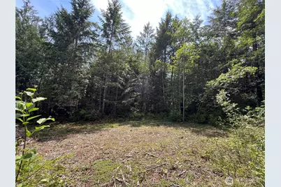1 Xxx Juanita Drive, Brinnon, WA 98320 - Photo 3
