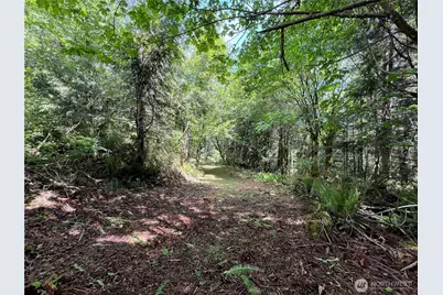 1 Xxx Juanita Drive, Brinnon, WA 98320 - Photo 15