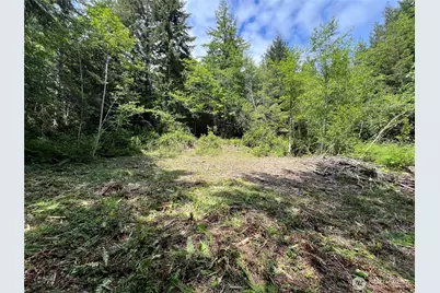 1 Xxx Juanita Drive, Brinnon, WA 98320 - Photo 13