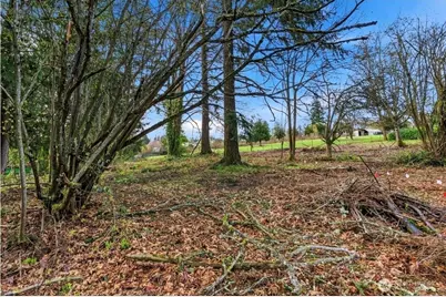 1406 E 44th Street, Tacoma, WA 98404 - Photo 1