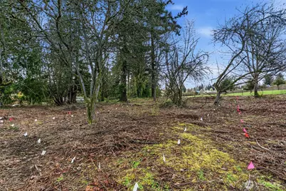 1406 E 44th Street, Tacoma, WA 98404 - Photo 13