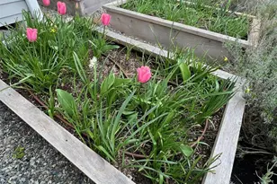 757 Village Cir NW, Bainbridge Island, WA 98110 - Photo 39