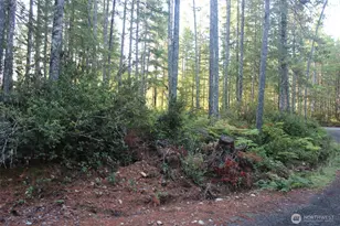 3511 NE Tahuya Blacksmith Rd, Tahuya, WA 98588 - Photo 1