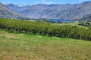 31 Milan St, Manson, WA 98831 - Photo 1