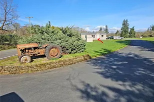 18042 Sargent Rd SW, Rochester, WA 98579 - Photo 21