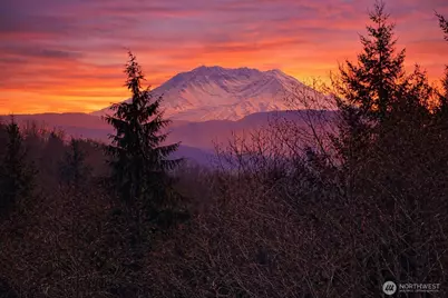 418 August Road, Onalaska, WA 98570 - Photo 1