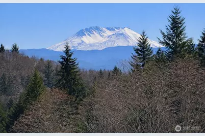 418 August Road, Onalaska, WA 98570 - Photo 5