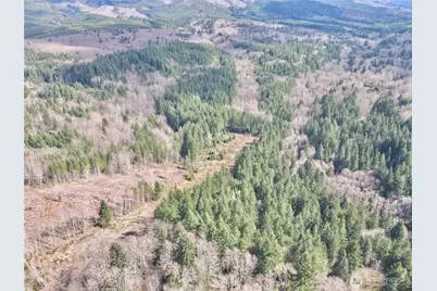 418 August Road, Onalaska, WA 98570 - Photo 21