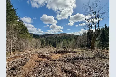 418 August Road, Onalaska, WA 98570 - Photo 17