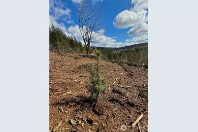 418 August Road, Onalaska, WA 98570 - Photo 19