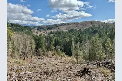 418 August Road, Onalaska, WA 98570 - Photo 3