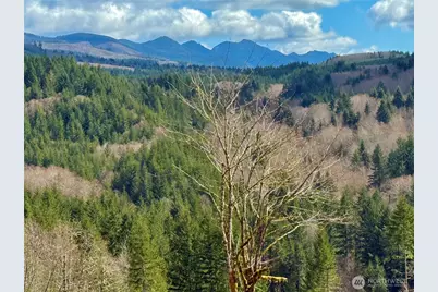 418 August Road, Onalaska, WA 98570 - Photo 11