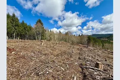 418 August Road, Onalaska, WA 98570 - Photo 25