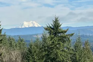 2366 Seminary Hill Rd, Centralia, WA 98531 - Photo 35