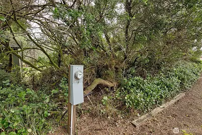 189 S Narwhal Loop SW, Ocean Shores, WA 98569 - Photo 7