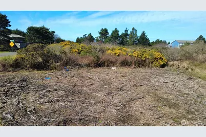 1 Francis Seamore Lane, Grayland, WA 98547 - Photo 11