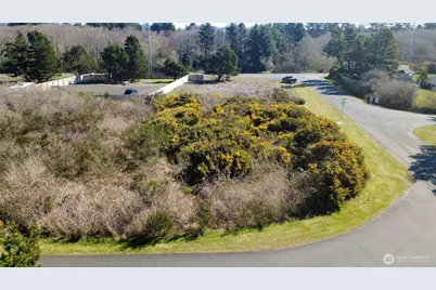 1 Francis Seamore Lane, Grayland, WA 98547 - Photo 9