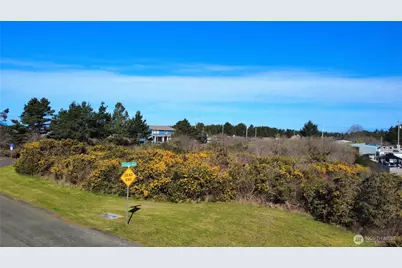 1 Francis Seamore Lane, Grayland, WA 98547 - Photo 3