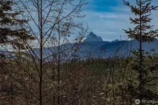 1119 Eaglemount Rd, Port Townsend, WA 98368 - Photo 1